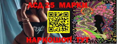 крисы Сланцы