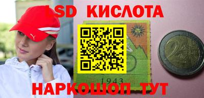 крисы Сланцы