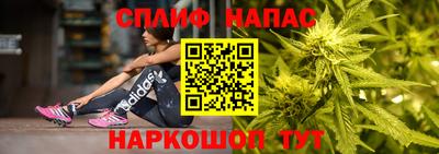 ешки Славгород