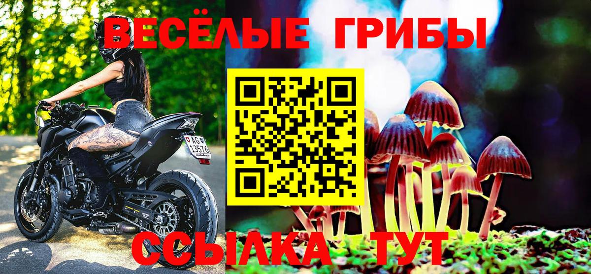 Галлюциногенные грибы мухоморы  Вход с VPN  Петропавловск-Камчатский 